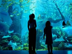 -波塞冬旅游度假区