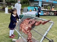 -佛冈森波拉度假区
