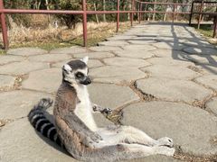 -杭州野生动物世界