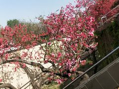 -搓火大都会(广安门总店)