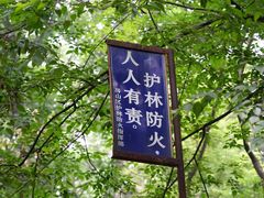 -北京上方山国家森林公园