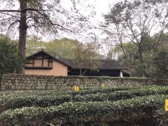 -法云安缦酒店
