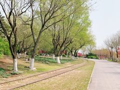 -永定河休闲森林公园