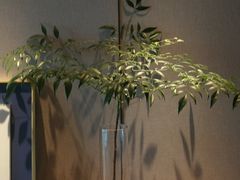 -上海佘山世茂艾美酒店