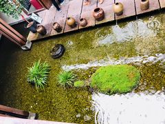 -几荷·恰似故人来(秀水广场店)