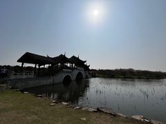 -上海海湾国家森林公园