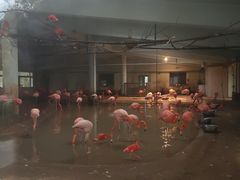 -石家庄市动物园