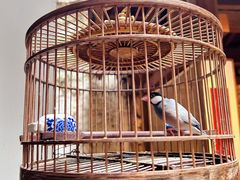 -31号公馆(黄兴广场白果园店)