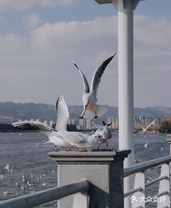 海埂大坝图片