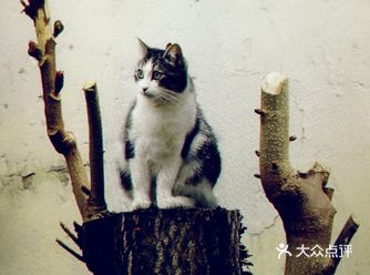原來你的眼睛這麼清澈 我現在看見了你 ——