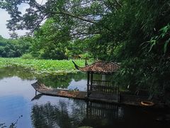 -兰亭风景区