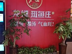 -楚江子·龙继斑鱼庄(建设东路店)
