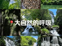 -千泷沟大瀑布旅游区