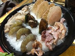扇贝-丽江庭院之爱在路上(西单店)