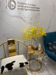 -潘多拉Hairsalon