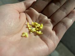 -乐乐餐厅(湘子庙街店)