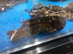 -盒马鲜生(岭南新世界店)