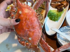 -高佳庄·舟山海鲜(海景旗舰店)