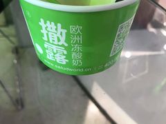 -Salud撒露欧洲冻酸奶(北苑上品店)