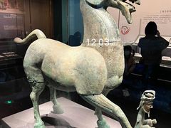 -广西壮族自治区博物馆