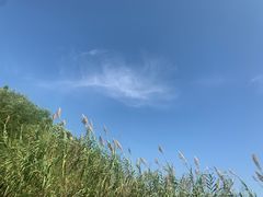 -长广溪湿地公园