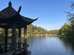 -四明山国家森林公园