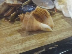 小海螺-渡海小渔村.老辈日照菜