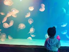 -华夏文旅西安度假区