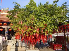 -天后宫民俗文化街