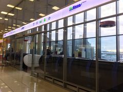 -谢列梅捷沃国际机场