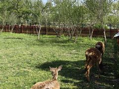 -上海交通大学(闵行校区)