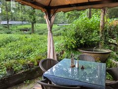 -野蔓果·山野菜(西湖景区·龙井茶田店)