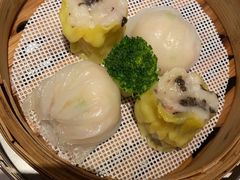 -南海渔村(珠江新城店)
