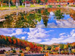 -沉浸北京·团建旅行·密室剧本杀·年会会议轰趴拓展