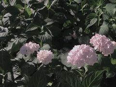 -常州古运河南大街文化旅游区-人民公园