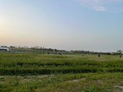 -空港花田景区