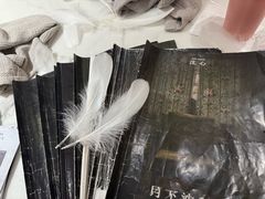 -叁拾壹丨浮世绘x壹拾叁沉浸演绎剧场