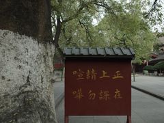 -关中书院