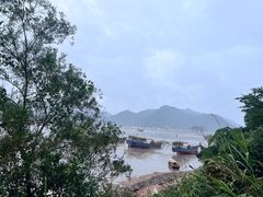 -北岐滩涂