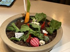 -荟廷·晶萃(陆家嘴尚悦湾店)