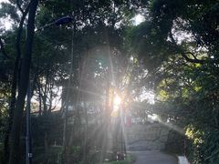 -广州市帽峰山景区