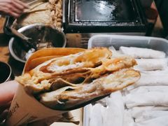 孙奶奶葱包桧-孙奶奶葱包桧