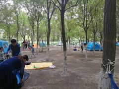 -西青郊野公园