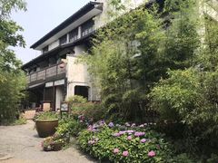 -田园东方蜜桃村的田野营地