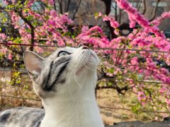 -炼呗运动康复·健身工作室(紫竹桥店)