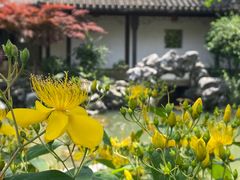 -巡塘古镇