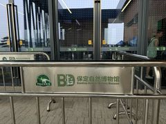 -钟楼大面包