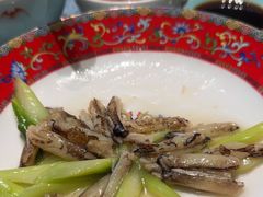 -新光酒家·河豚·海鲜·蟹料理(浦东店)
