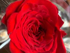 -煲得鲜·桐乡煲·小龙虾(万达店)