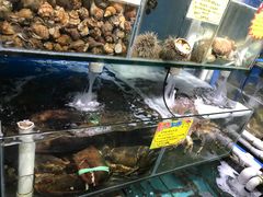 -蚝专家(北滘店)